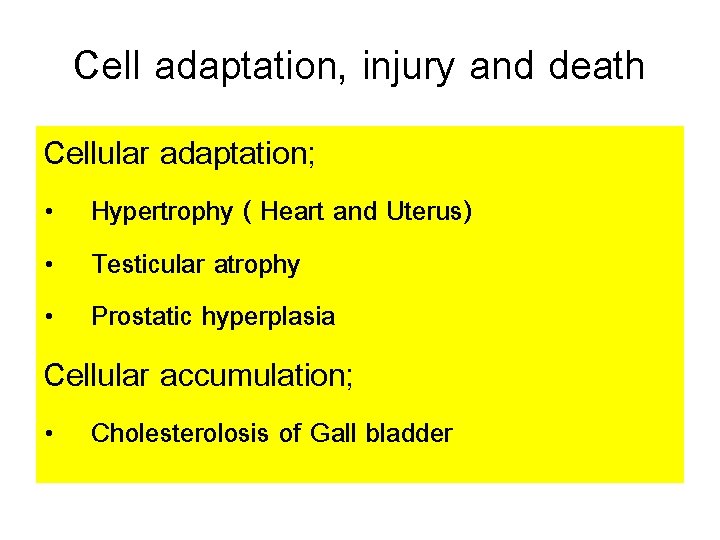 Cell adaptation, injury and death Cellular adaptation; • Hypertrophy ( Heart and Uterus) •
