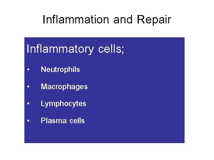 Inflammation and Repair Inflammatory cells; • • Neutrophils Macrophages Lymphocytes Plasma cells 