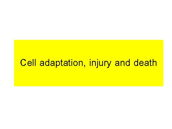 Cell adaptation, injury and death 