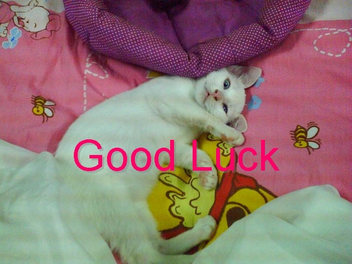 Good Luck 