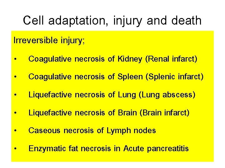 Cell adaptation, injury and death Irreversible injury; • • • Coagulative necrosis of Kidney