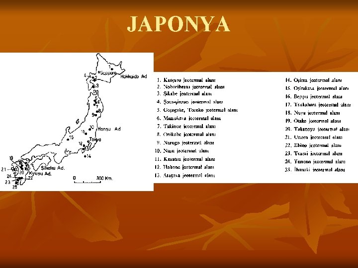 JAPONYA 