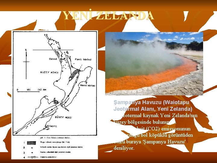 YENİ ZELANDA Şampanya Havuzu (Waiotapu Jeotermal Alanı, Yeni Zelanda) Bu jeotermal kaynak Yeni Zelanda'nın