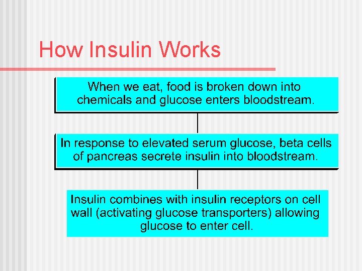 How Insulin Works 