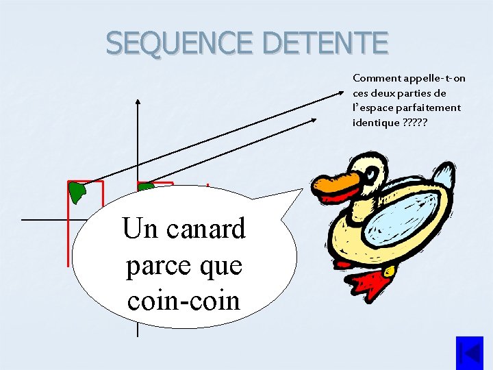 SEQUENCE DETENTE Comment appelle-t-on ces deux parties de l’espace parfaitement identique ? ? ?