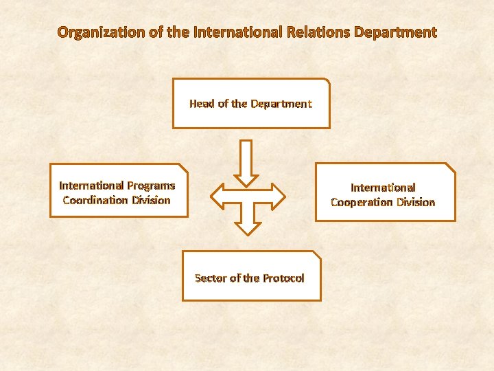 Organization of the International Relations Department Head of the Department International Programs Coordination Division