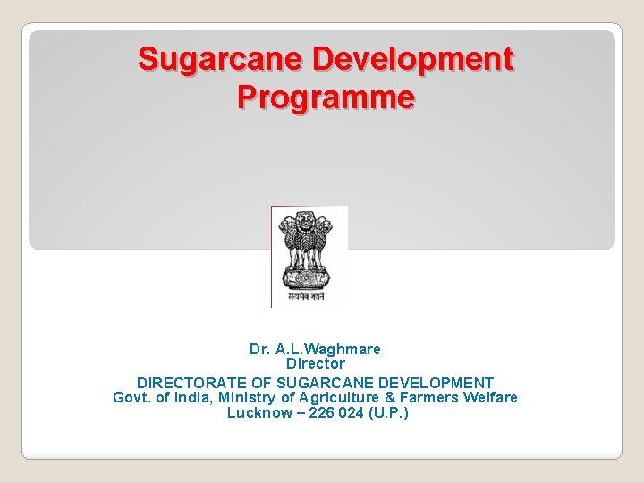 Sugarcane Development Programme Dr. A. L. Waghmare Director DIRECTORATE OF SUGARCANE DEVELOPMENT Govt. of Sugarcane Development Programme Dr. A. L. Waghmare Director DIRECTORATE OF SUGARCANE DEVELOPMENT Govt. of