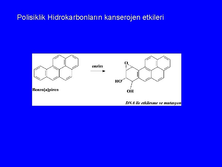 Polisiklik Hidrokarbonların kanserojen etkileri 