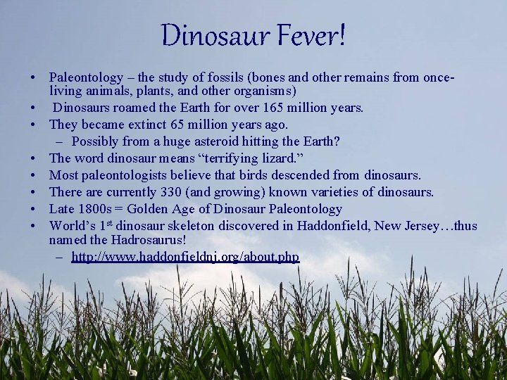 Dinosaur Fever! • Paleontology – the study of fossils (bones and other remains from