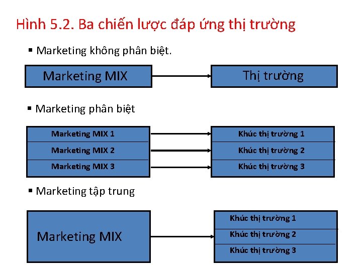 Hình 5. 2. Ba chiến lược đáp ứng thị trường § Marketing không phân