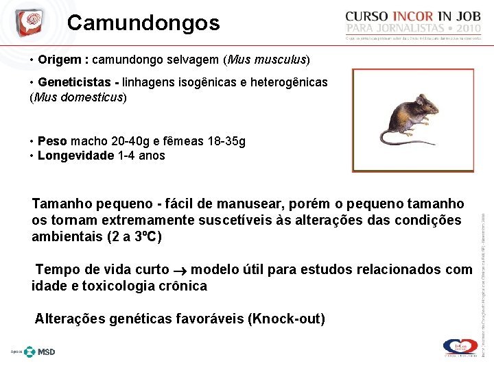 Camundongos • Origem : camundongo selvagem (Mus musculus) • Geneticistas - linhagens isogênicas e