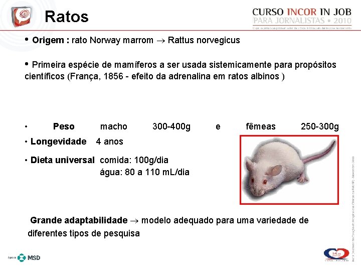 Ratos • Origem : rato Norway marrom Rattus norvegicus • Primeira espécie de mamíferos