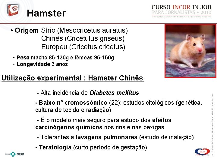 Hamster • Origem Sírio (Mesocricetus auratus) Chinês (Cricetulus griseus) Europeu (Cricetus cricetus) • Peso