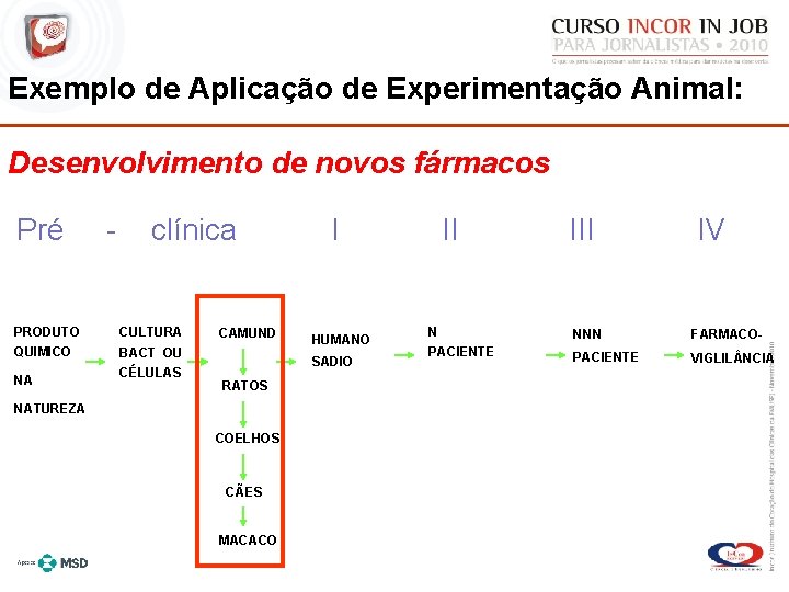 Exemplo de Aplicação de Experimentação Animal: Desenvolvimento de. COM novos fármacos FASES DE PESQUISA