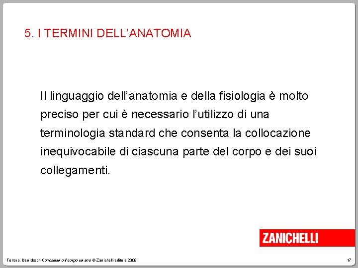 5. I TERMINI DELL’ANATOMIA Il linguaggio dell’anatomia e della fisiologia è molto preciso per