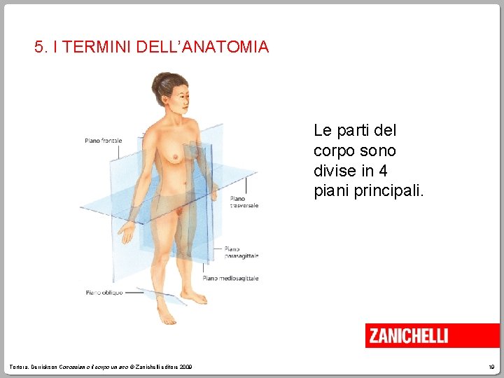 5. I TERMINI DELL’ANATOMIA Le parti del corpo sono divise in 4 piani principali.