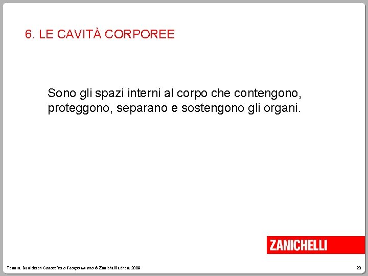 6. LE CAVITÀ CORPOREE Sono gli spazi interni al corpo che contengono, proteggono, separano