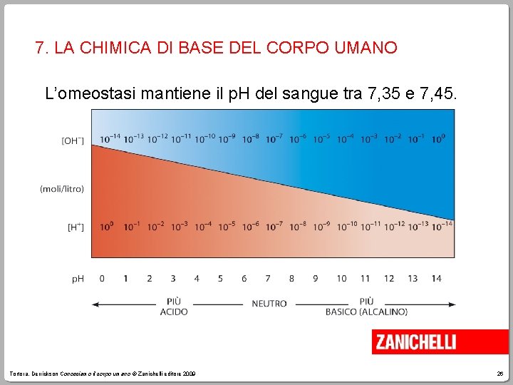 7. LA CHIMICA DI BASE DEL CORPO UMANO L’omeostasi mantiene il p. H del