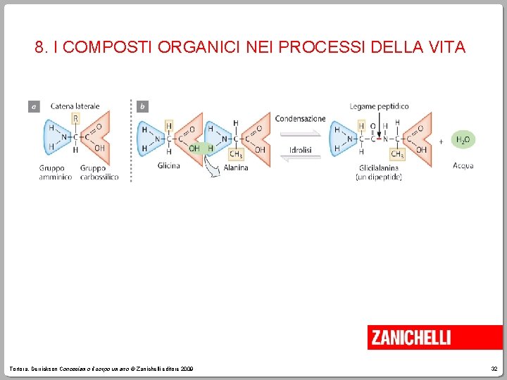 8. I COMPOSTI ORGANICI NEI PROCESSI DELLA VITA Tortora, Derrickson Conosciamo il corpo umano