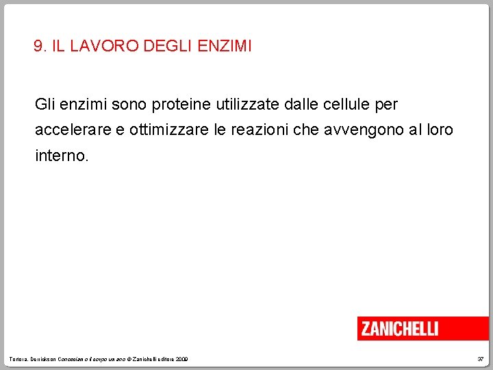 9. IL LAVORO DEGLI ENZIMI Gli enzimi sono proteine utilizzate dalle cellule per accelerare