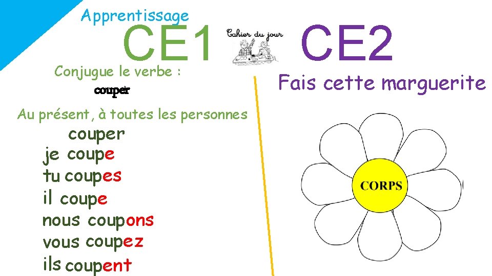 Apprentissage CE 1 Conjugue le verbe : couper Au présent, à toutes les personnes