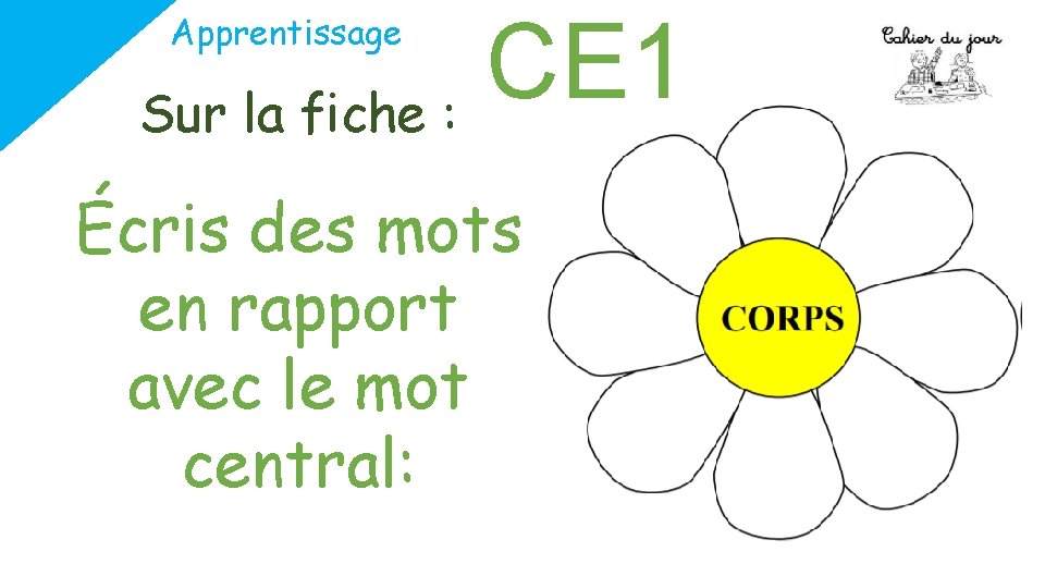 CE 1 Sur la fiche : Apprentissage Écris des mots en rapport avec le