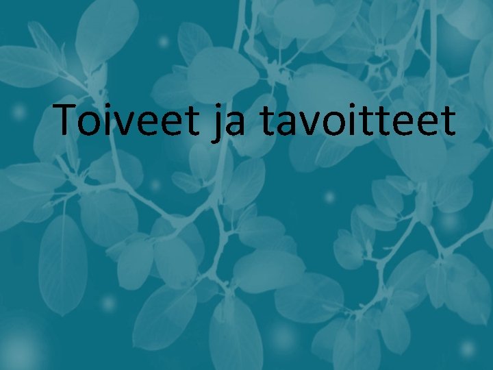  Toiveet ja tavoitteet 