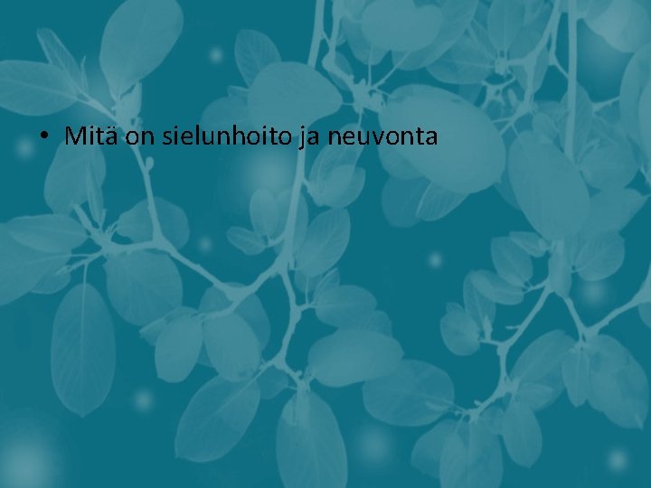  • Mitä on sielunhoito ja neuvonta 