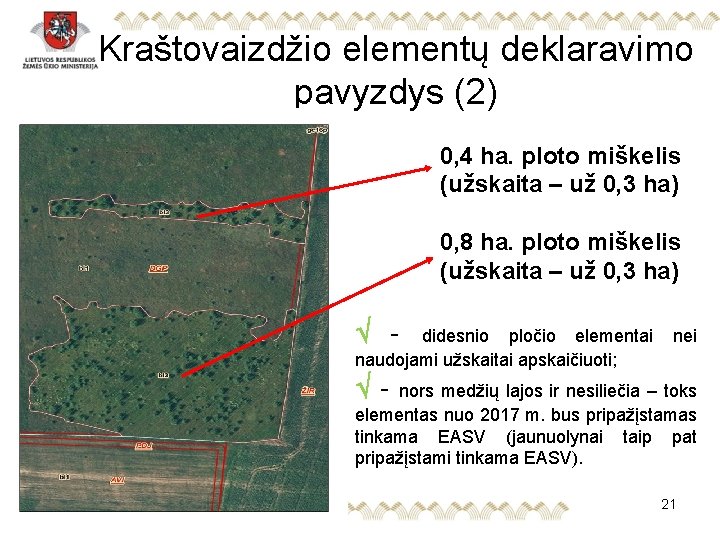 Kraštovaizdžio elementų deklaravimo pavyzdys (2) 0, 4 ha. ploto miškelis (užskaita – už 0,