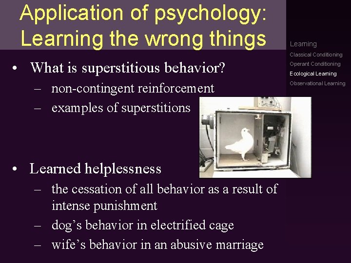 Application of psychology: Learning the wrong things Learning Classical Conditioning • What is superstitious