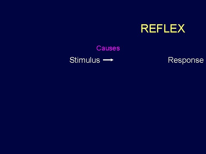 REFLEX Causes Stimulus Response 