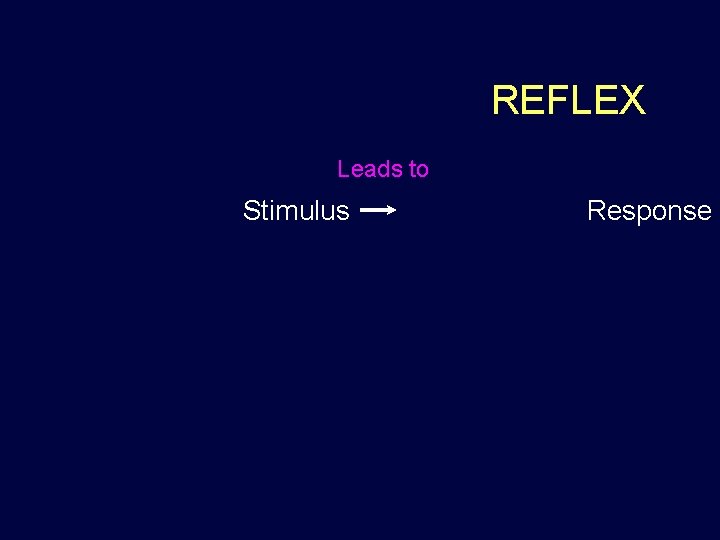 REFLEX Leads to Stimulus Response 