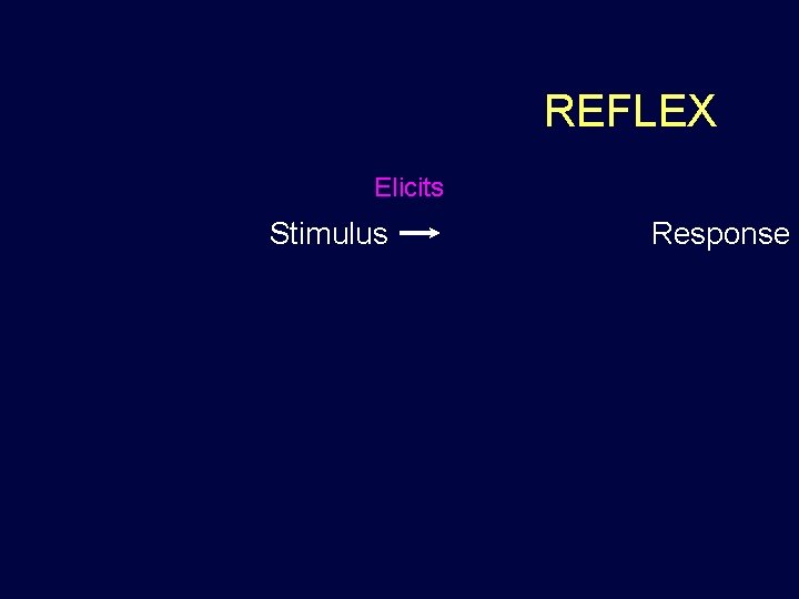 REFLEX Elicits Stimulus Response 