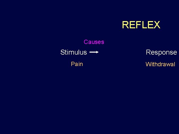 REFLEX Causes Stimulus Pain Response Withdrawal 