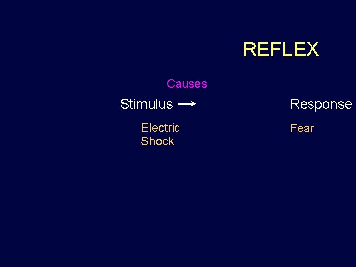 REFLEX Causes Stimulus Electric Shock Response Fear 