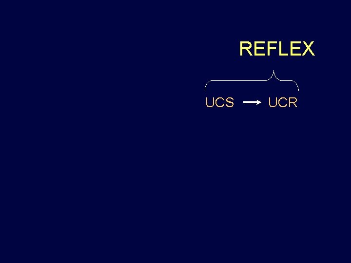 REFLEX UCS UCR 