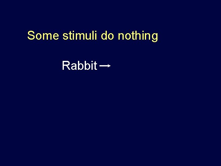 Some stimuli do nothing Rabbit 