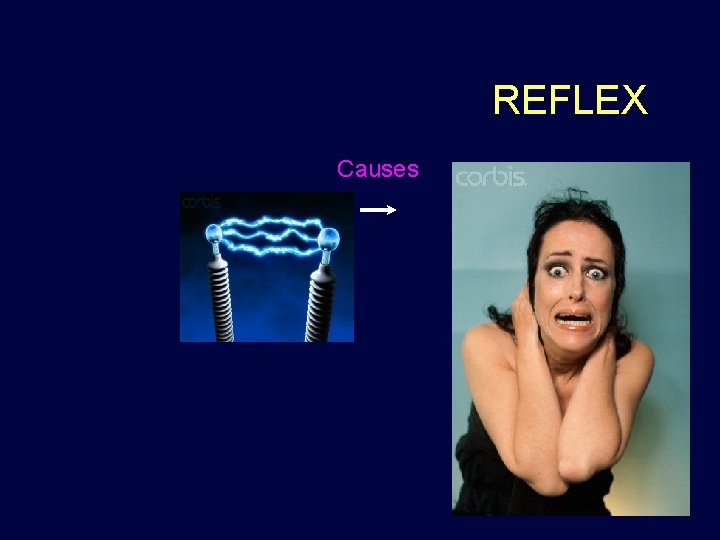 REFLEX Causes 