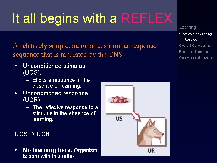 It all begins with a REFLEX Learning Classical Conditioning A relatively simple, automatic, stimulus-response