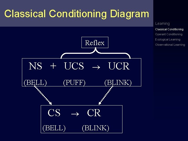 Classical Conditioning Diagram Learning Classical Conditioning Operant Conditioning Ecological Learning Reflex NS + UCS