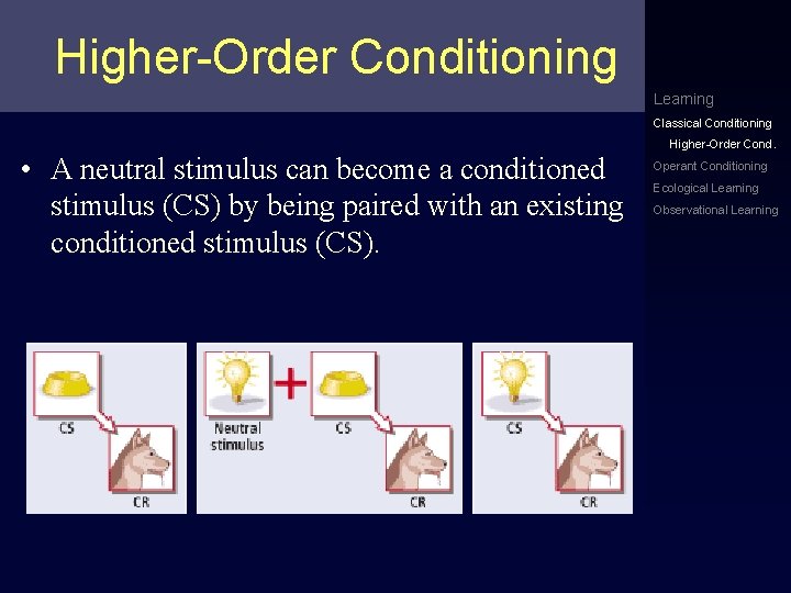 Higher-Order Conditioning Learning Classical Conditioning • A neutral stimulus can become a conditioned stimulus