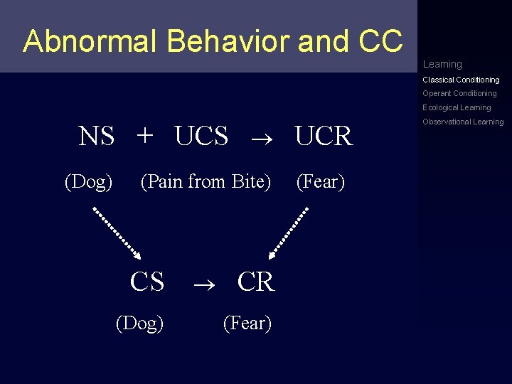 Abnormal Behavior and CC Learning Classical Conditioning Operant Conditioning Ecological Learning NS + UCS