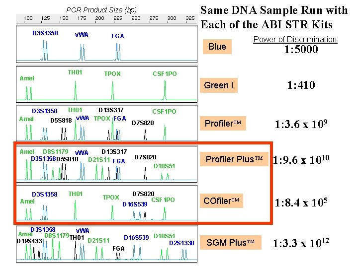 Same DNA Sample Run with Each of the ABI STR Kits PCR Product Size Same DNA Sample Run with Each of the ABI STR Kits PCR Product Size