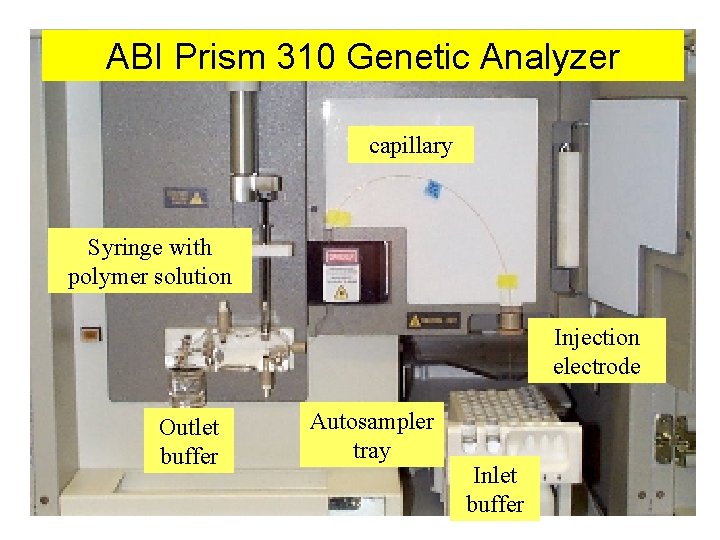 ABI Prism 310 Genetic Analyzer capillary Syringe with polymer solution Injection electrode Outlet buffer ABI Prism 310 Genetic Analyzer capillary Syringe with polymer solution Injection electrode Outlet buffer