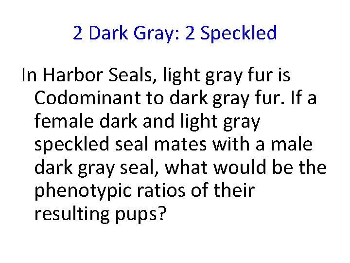 2 Dark Gray: 2 Speckled In Harbor Seals, light gray fur is Codominant to