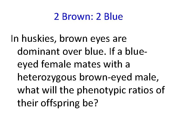 2 Brown: 2 Blue In huskies, brown eyes are dominant over blue. If a