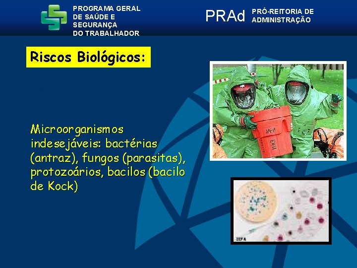 PROGRAMA GERAL DE SAÚDE E SEGURANÇA DO TRABALHADOR Riscos Biológicos: Microorganismos indesejáveis: bactérias (antraz),