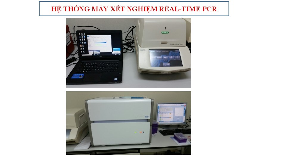 HỆ THỐNG MÁY XÉT NGHIỆM REAL-TIME PCR 