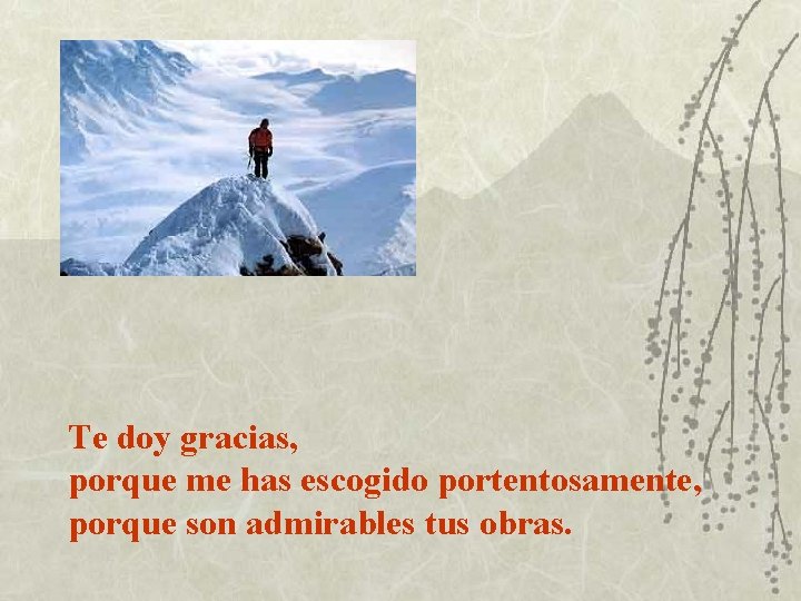 Te doy gracias, porque me has escogido portentosamente, porque son admirables tus obras. 
