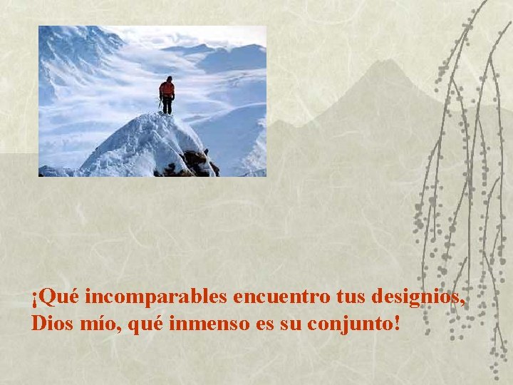 ¡Qué incomparables encuentro tus designios, Dios mío, qué inmenso es su conjunto! 